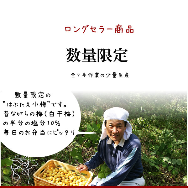 梅干し,梅,青梅,梅肉エキス,紀州南高梅干通販の専門店 はぶたえ小梅干し- 深見梅店 -